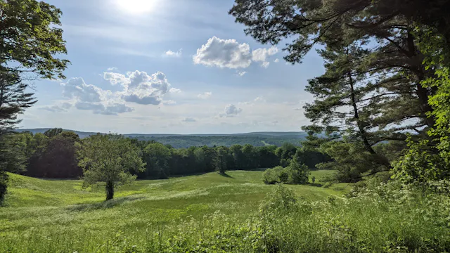 Lush green rolling hills with scattered trees under a partly cloudy summer sky.