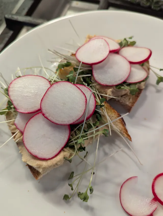 Two slices of toasted sourdough bread topped with thinly sliced pink radishes, fresh green sprouts, and creamy hummus on a white plate.