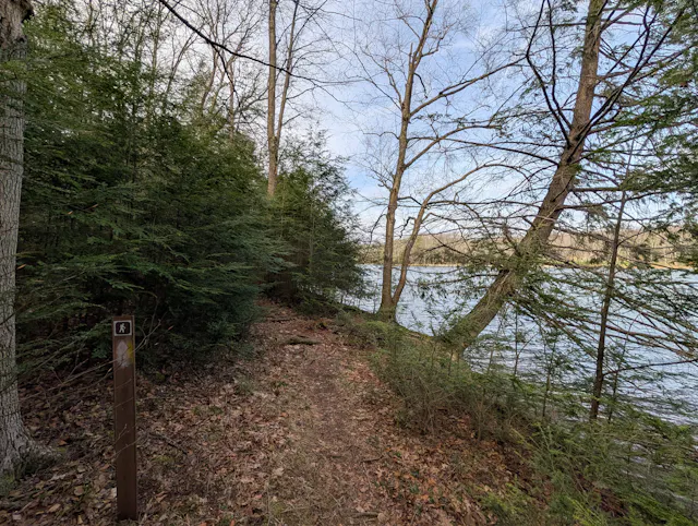 Forest trail descending toward a body of water visible through bare and green trees.