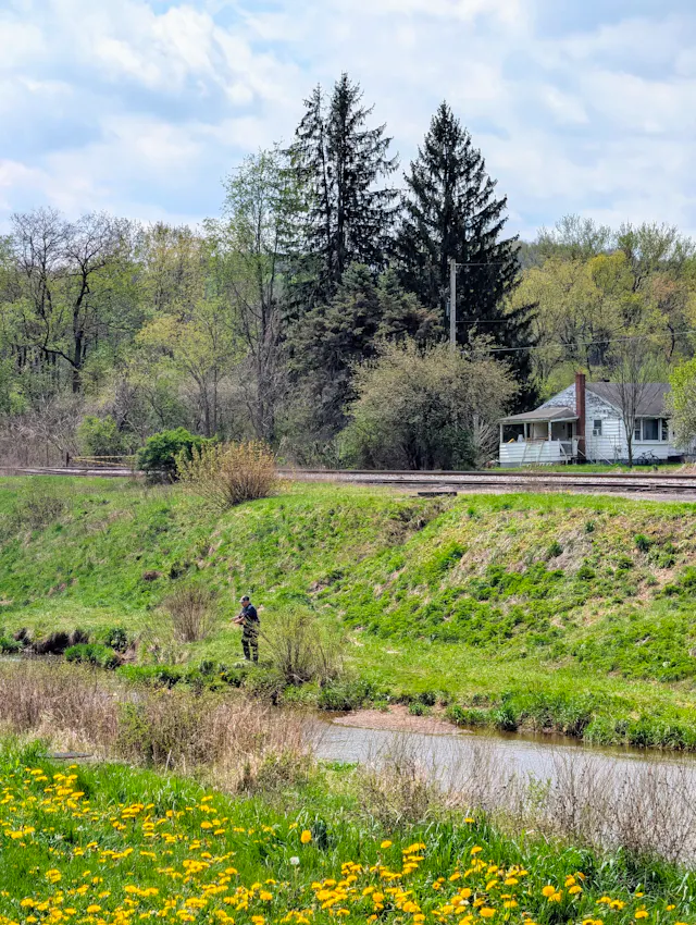 Angler in dark shirt and camouflage pants casting a fishing line in a dandelion-filled meadow beside a stream, railroad on the embankment, and a white house beyond.