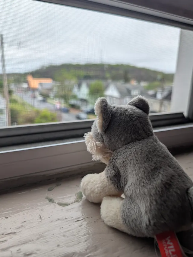 A small gray and white stuffed husky toy sitting on a windowsill, gazing out through a screen at a hillside neighborhood